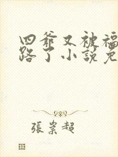 四爷又被福晋套路了小说免费阅读