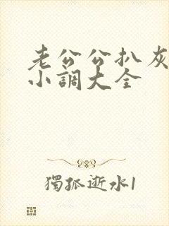 老公公扒灰民间小调大全