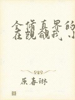 全修真界的人都在觊觎我 小说