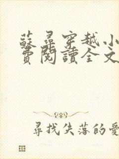 苏寻穿越小说免费阅读全文