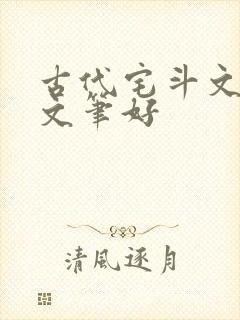 古代宅斗文推荐文笔好