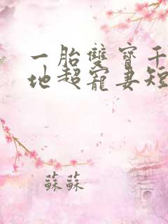 一胎双宝千亿爹地超宠妻短剧