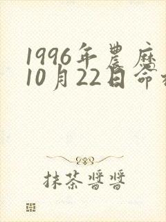 1996年农历10月22日命格
