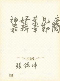 神婿叶凡唐若雪最新章节阅读