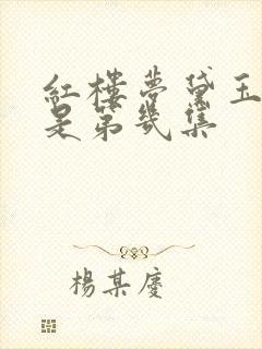 红楼梦黛玉葬花是第几集