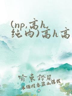 (np,高h,纯肉)高h高辣bl