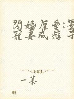 闪婚厚爱:墨少宠妻成瘾 子夜轻语