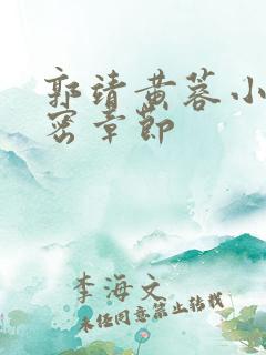 郭靖黄蓉小说亲密章节