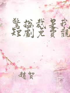 惊总裁是我老公短剧免费观看
