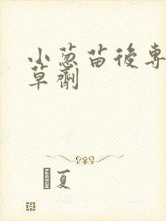 小葱苗后专用除草剂