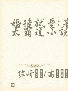 婚后试爱:老公太霸道小说免费阅读