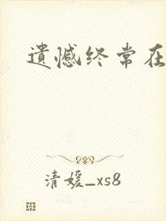 遗憾终常在小说