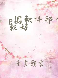 p图软件那个比较好