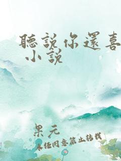 听说你还喜欢我 小说