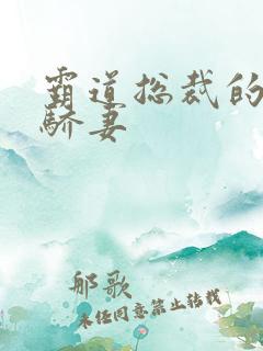 霸道总裁的独宠骄妻
