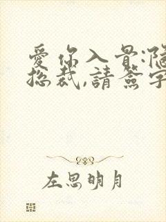 爱你入骨:隐婚总裁,请签字