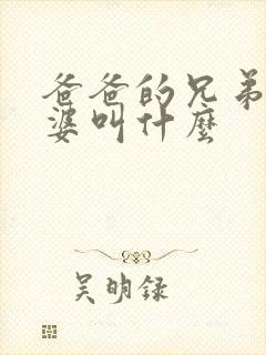 爸爸的兄弟的老婆叫什么
