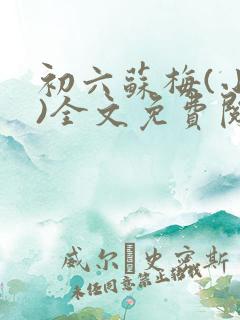 初六苏梅(小说)全文免费阅读