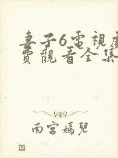 妻子6电视剧免费观看全集