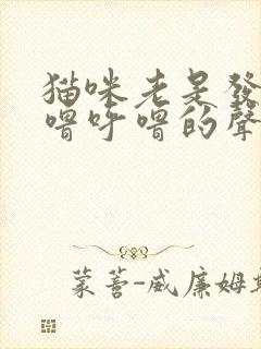 猫咪老是发出呼噜呼噜的声音是怎么回事