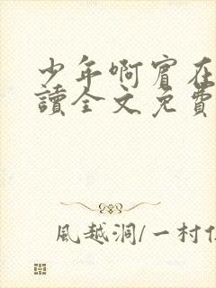 少年啊宾在线阅读全文免费阅读最新