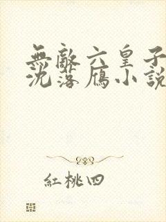 无敌六皇子云铮沈落雁小说