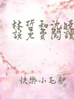 林哲和沈晓君小说免费阅读