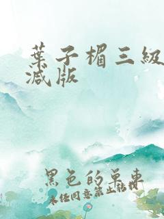叶子楣三级无删减版