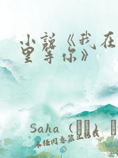 小说《我在回忆里等你》