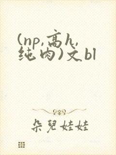 (np,高h,纯肉)文bl