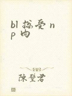 bl 总受 np 肉
