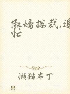 傲娇总裁,追妻忙