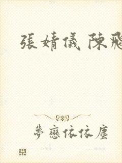 张婧仪 陈飞宇