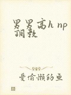 男男高h np 调教
