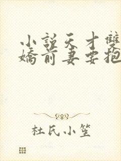 小说天才双宝傲娇前妻要抱回家
