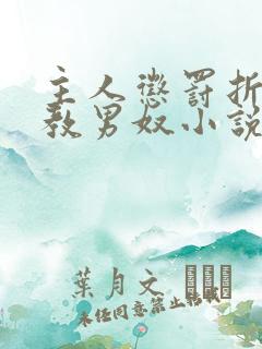 主人惩罚折磨调教男奴小说