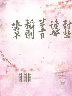 水稻芽后封闭除草剂有哪些