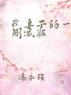 我妻子的一切未删减版