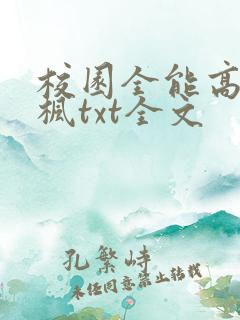 校园全能高手季枫txt全文