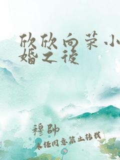 欣欣向荣小说渣婚之后