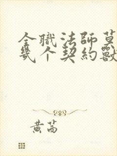 全职法师莫凡有几个契约兽