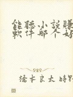 能听小说赚钱的软件哪个好
