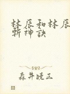 林辰和林辰九天斩神诀