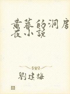 黄蓉的洞房花烛夜小说