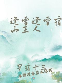 逢雪逢雪宿芙蓉山主人