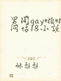 男同gay啪啪网站18小说 男同gay啪啪网站18小说