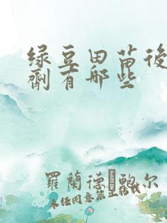 绿豆田苗后除草剂有哪些