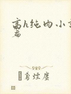 高h纯肉小说短篇
