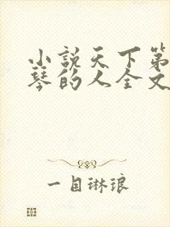 小说天下第一抚琴的人全文免费阅读