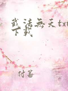 武法无天txt下载